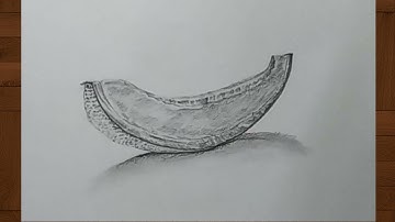 Bfa Entrance Exam 2021 Question - Object Drawing || MAH AAC CET 2022 preparations (Object Drawing)