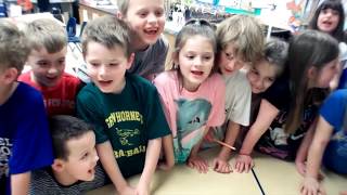 Animal Jam - Dr. Brady Barr: Head Start: Terrapins