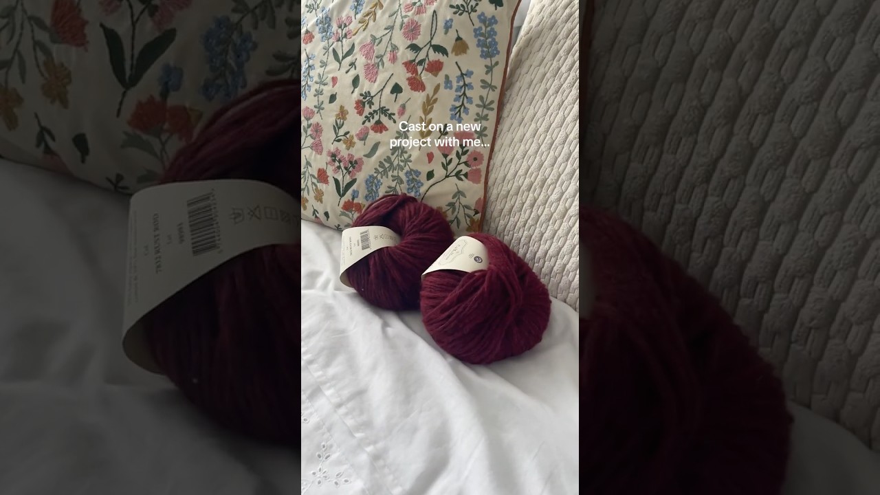 Starting my Sophie Hood!🧶  