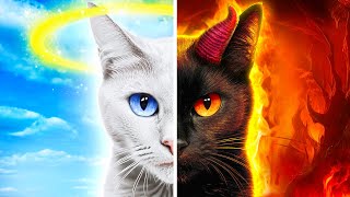 😇 Angel Cat vs Demon Cat 😈 A DAY IN THE LIFE OF A CAT By Meow-some!