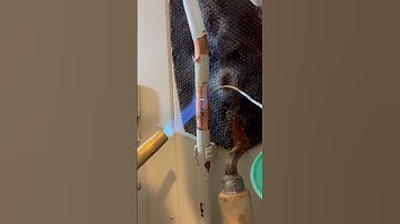 Full toilet parts rip out! #howto #diy #asmr #youtubeshorts #subscribe #tools #shortsfeed #foryou