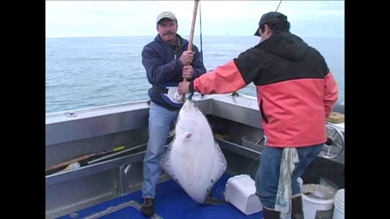 Halibut Fishing at Yakutat YouTube