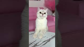 Onu Kandırmaya Çalıştı Ama Gerçeği Bilmiyordu