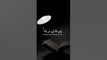 تلاوه ماتيسر من سوره النور بصوت القارئ #شريف_مصطفى #قران_كريم #راحة_نفسية #اكسبلور #ارح_قلبك #لايك