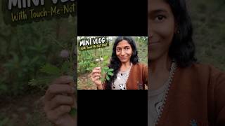 Mini Vlog with GLOSSOPHOBIA Grl #Informative video #Grny world##subcribemychannel