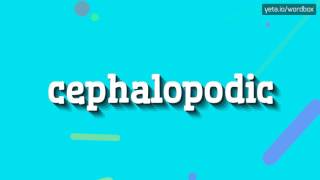 CEPHALOPODIC - HOW TO PRONOUNCE IT!?