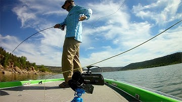 Nice bass! - Fly fishing bass and catching them non stop - McFly Angler
