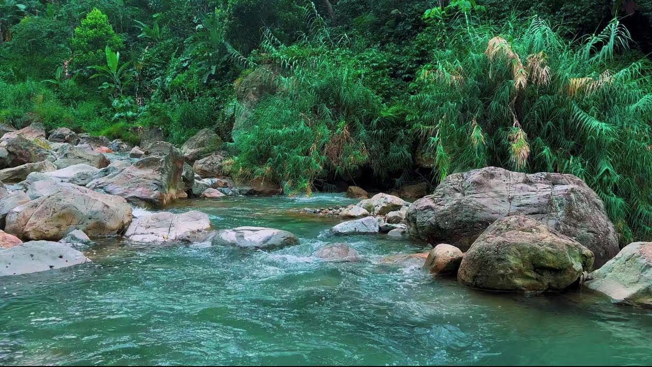 4K-HDR | Soothing River Water Noise for Sleep & Deep Rest | Relaxing Nature Ambience for Calm Dreams