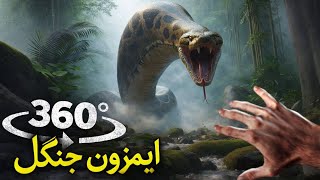 Amazon jungle animals /informative video /voice Adam 