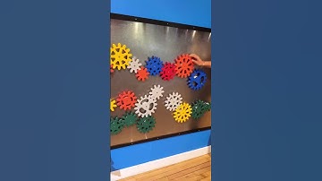 New Immersive Art Gallery in Kitchener