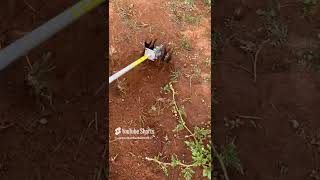 Side pack brush cutter 4stroke Rs9900 Maduraidt 9787672239,TN
