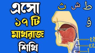 🔥Makhraj of Arabic letters || মাখরাজ || সহি কোরআন শিখুন