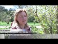 Весенний дендропарк: открытие - 1 апреля