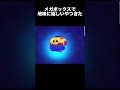 【ブロスタ】当たると嬉しいやつきた！【メガボックス】