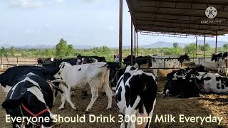 World Milk Day 2021