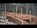 OFF GRID HOMESTEAD GARDENING | POLES FOR THE RAISED BED DEER FENCING