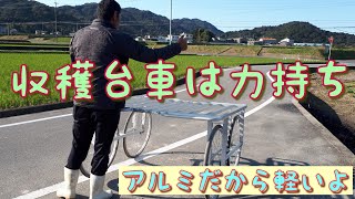 収穫台車と親方◇そして呟き◇20/11/12