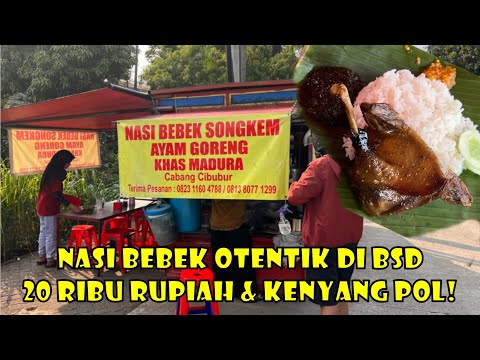 JUALAN BEBEK DI
