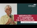 Meditação e o despertar da inteligência