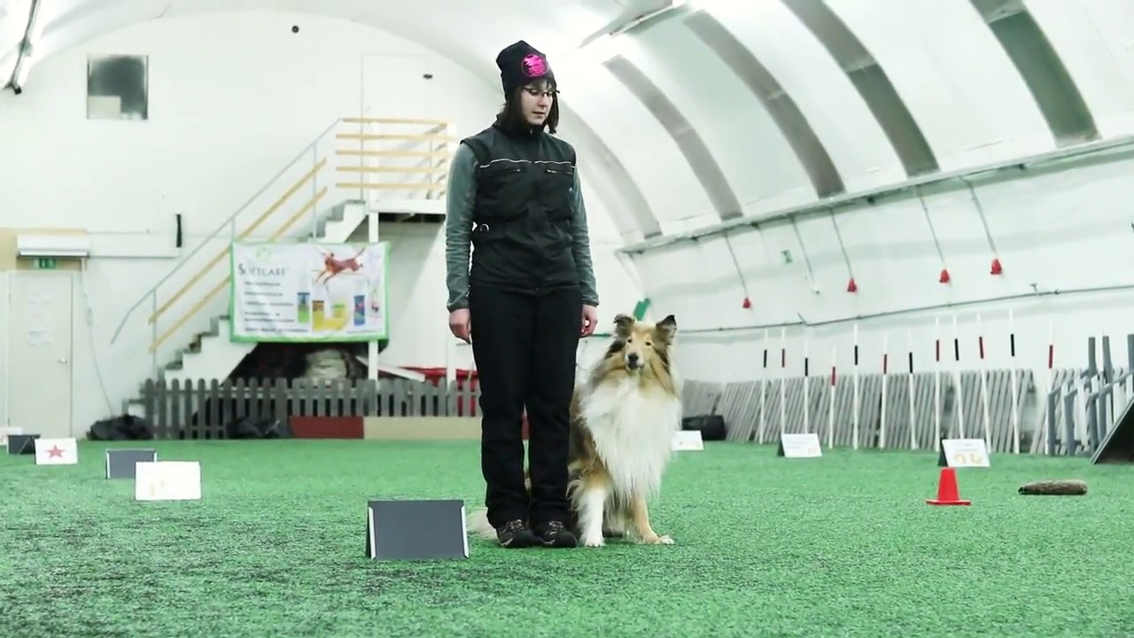 Rally-tokon avoimen (AVO) luokan kyltit: esittää  I-HAH VOI/MES-omatoimiryhmä