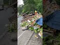 VÍDEO: CAMINHONEIRO INFLUENCIADOR DE GUANAMBI MORREU EM ACIDENTE, NA BR-040 EM MINAS GERAIS 