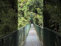 hanging bridges in Selvadura park, Montaverde