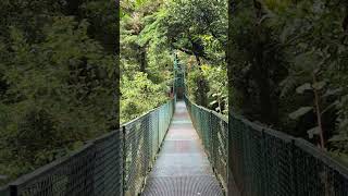 hanging bridges in Selvadura park, Montaverde