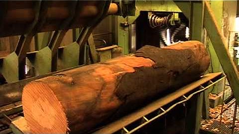 Log Handling Debarking Processing Beech