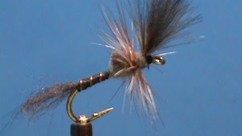 Fly Tying for Beginners a Last Chance Adams with Jim Misiura