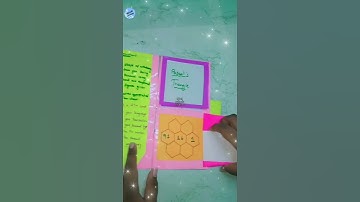 Information Processing || 7th std  || #project #shorts @ahamedvideos143