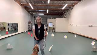 Stevie RIV 3