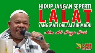 Hidup Jangan Seperti Lalat yang  Mati dalam Air Madu || Abu Paya Pasi