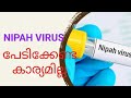 🔴 NIPAH VIRUS | അറിഞ്ഞിരിക്കേണ്ട കാര്യങ്ങൾ | നിപ്പ | Nipah alert | Kozhikode