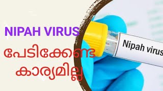 🔴 NIPAH VIRUS | അറിഞ്ഞിരിക്കേണ്ട കാര്യങ്ങൾ | നിപ്പ | Nipah alert | Kozhikode