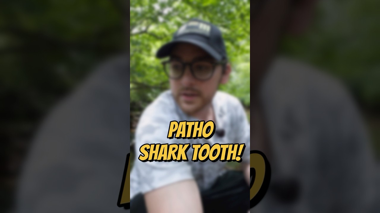 We Found a WEIRD Shark Tooth in the Creek!