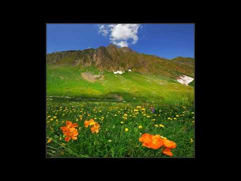 ვახო გოგილავა ნანა გოგილავა