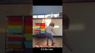 Little Kid Attempts To Sit On Tiny Chair - 1356608