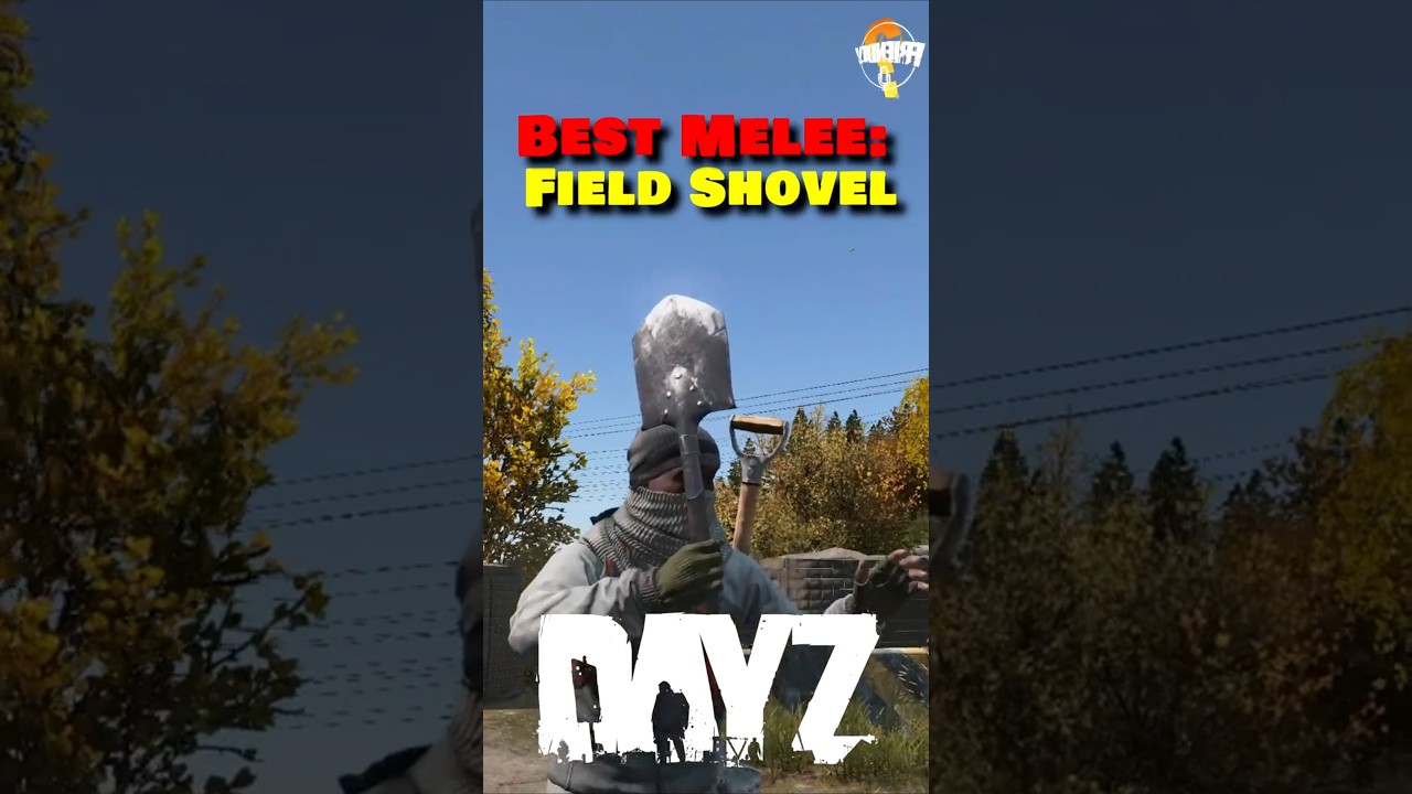 💥 STOP USING THE FIRE AXE IN DAYZ! 💥