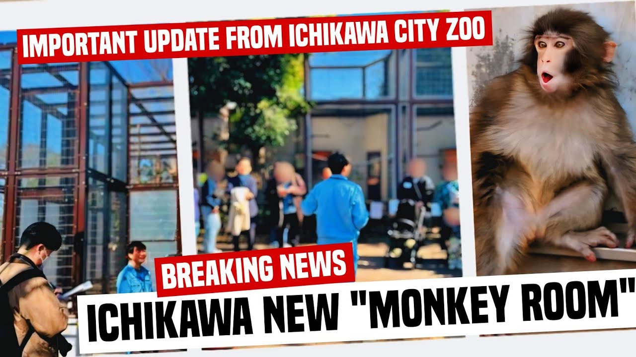 BREAKING NEWS!! ICHIKAWA ZOO REVEALS NEW 