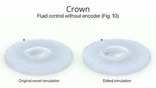 Neural Implicit Reduced Fluid Simulation