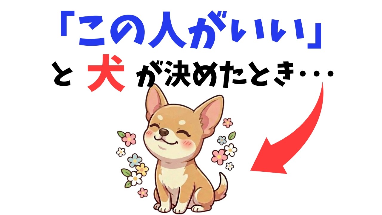 【本命？】犬が“選んだ人”にだけする行動 13選