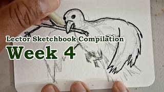 The Great Flood &amp; The Cosmic Seals (KJV) Audio Bible &amp; Watercolor - Lector Sketchbook Week 4