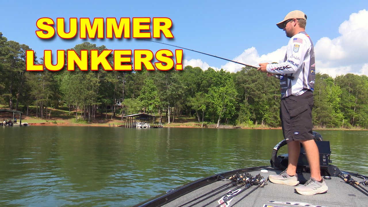 How to Catch Bass in Thick Grass All Summer Long | Bass Fishing