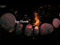 SPARKS GO GO「Sun Flower」Music Video