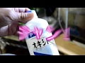 【水槽熱帯魚アクアリウム】藻対策に「オキシドール」!藻だらけ水槽に使ってみた(≧▽≦)