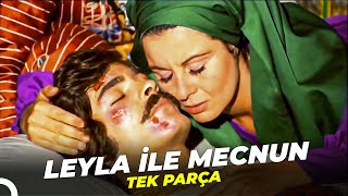 Leyla Ile Mecnun Fatma Girik - Kadir İnanır Eski Türk Filmi Full İzle