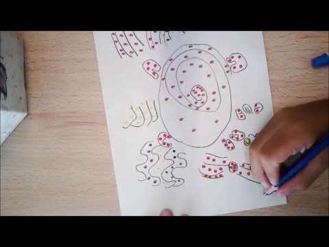 Student Work: Aboriginal Art