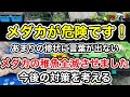 メダカが危険です❗️あまりの惨状に言葉が出ない…メダカの稚魚ほぼ全滅させました…今後の対策を考える