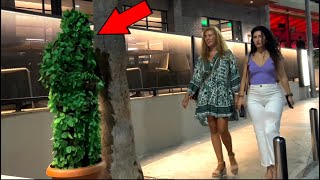 She bumped into the Bushman: Priceless Reaction