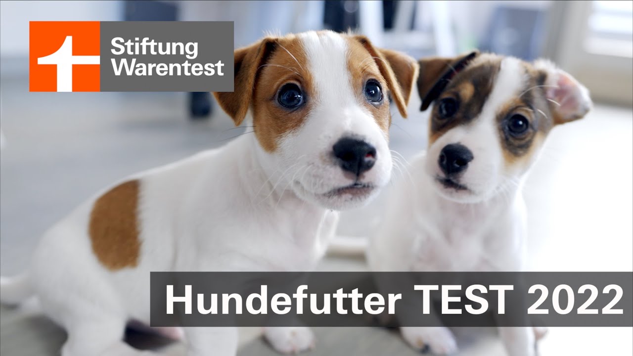 paracord halsbänder Hundehalsband Tierluxe Deutsche Farben Handgemacht Paracord Biothane main image 1
